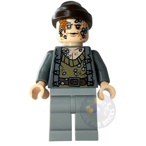 Lego pirati dei - pirati, caraibi